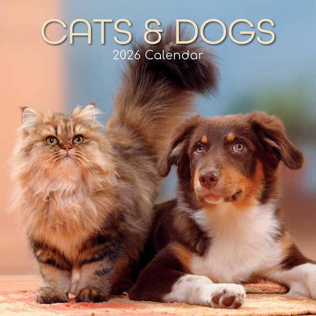 Cats & Dogs - 2026 Square Wall Calendar Pets Animals 16 Months Premium Planner