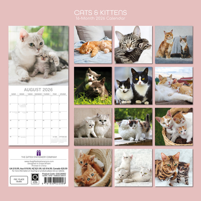 Cats & Kittens 2026 Square Wall Calendar Pets Animals 16 Months Premium Planner