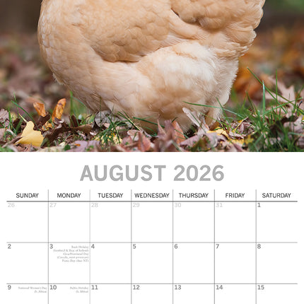 Chickens - 2026 Square Wall Calendar Pets Animals 16 Months Premium Planner Gift