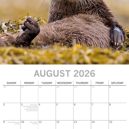 Country Wildlife 2026 Square Wall Calendar Pets Animals 16 Month Premium Planner