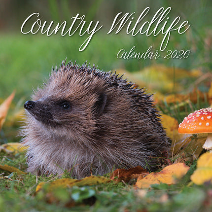 Country Wildlife 2026 Square Wall Calendar Pets Animals 16 Month Premium Planner