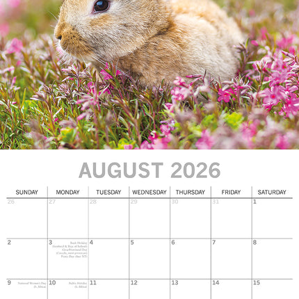 Cute Bunnies - 2026 Square Wall Calendar Pets Animals 16 Months Premium Planner
