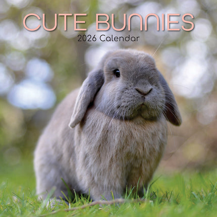 Cute Bunnies - 2026 Square Wall Calendar Pets Animals 16 Months Premium Planner