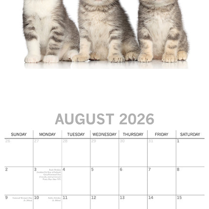 Cute Kittens - 2026 Square Wall Calendar Pets Animals 16 Months Premium Planner