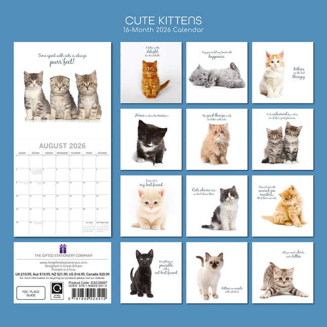 Cute Kittens - 2026 Square Wall Calendar Pets Animals 16 Months Premium Planner