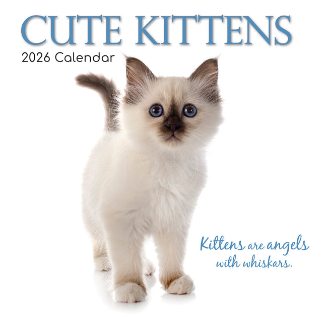Cute Kittens - 2026 Square Wall Calendar Pets Animals 16 Months Premium Planner