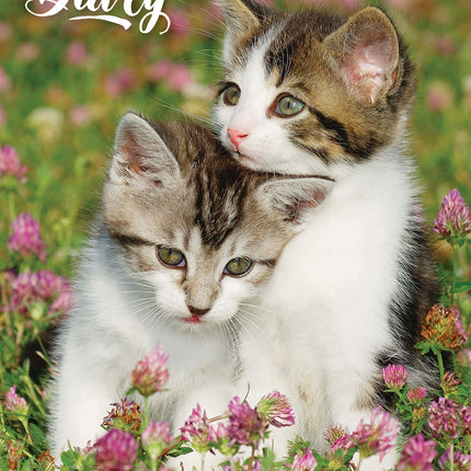 Cute Kittens 2027 A5 Padded Hard Cover Diary cover