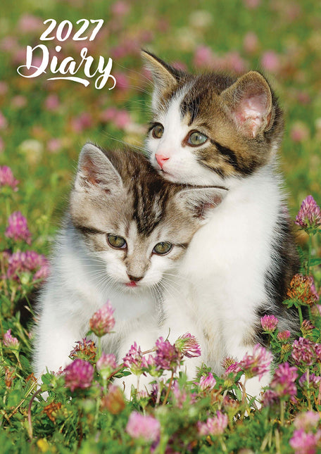 Cute Kittens 2027 A5 Padded Hard Cover Diary cover