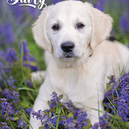 Cute Puppies 2027 Pocket Diary cover