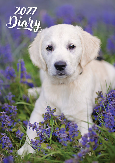 Cute Puppies 2027 Pocket Diary cover