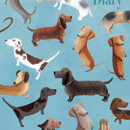 Dachshunds 2027 A5 Padded Hard Cover Diary cover