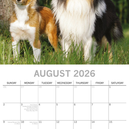 Dogs & Puppies 2026 Square Wall Calendar Pets Animals 16 Months Premium Planner