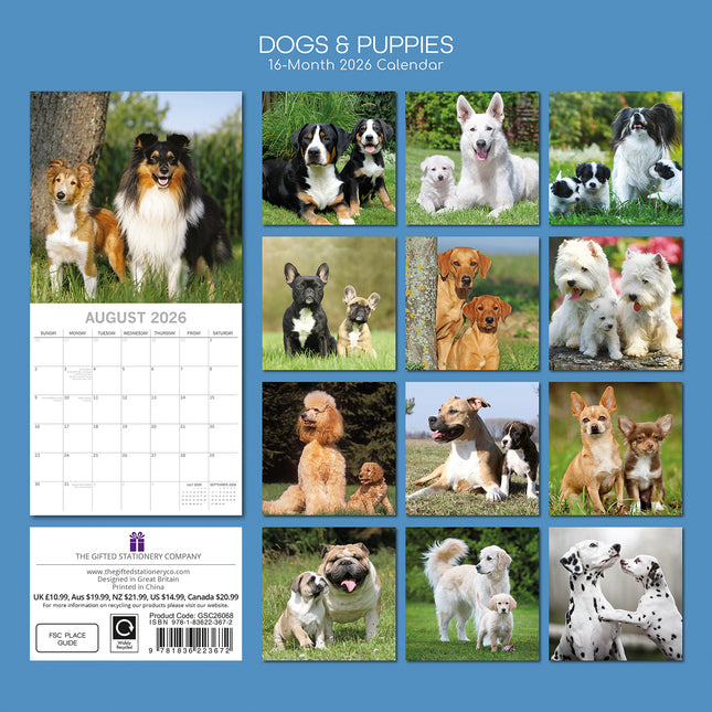 Dogs & Puppies 2026 Square Wall Calendar Pets Animals 16 Months Premium Planner