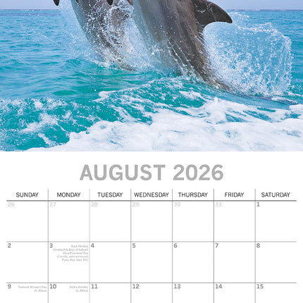 Dolphins - 2026 Square Wall Calendar Pets Animals 16 Months Premium Planner Gift