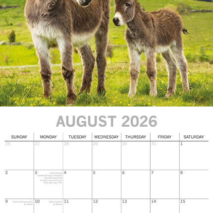 Donkeys - 2026 Square Wall Calendar Pets Animals 16 Months Premium Planner Gift