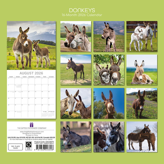Donkeys - 2026 Square Wall Calendar Pets Animals 16 Months Premium Planner Gift