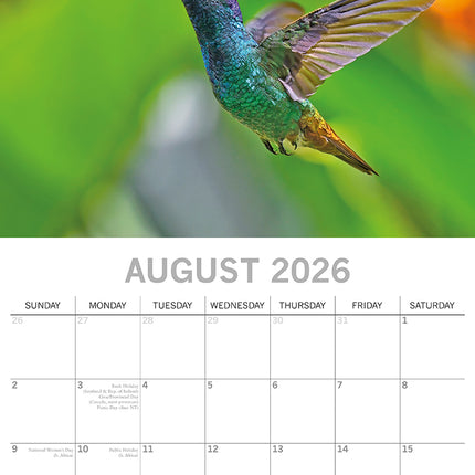 Exotic Birds - 2026 Square Wall Calendar Pets Animals 16 Months Premium Planner