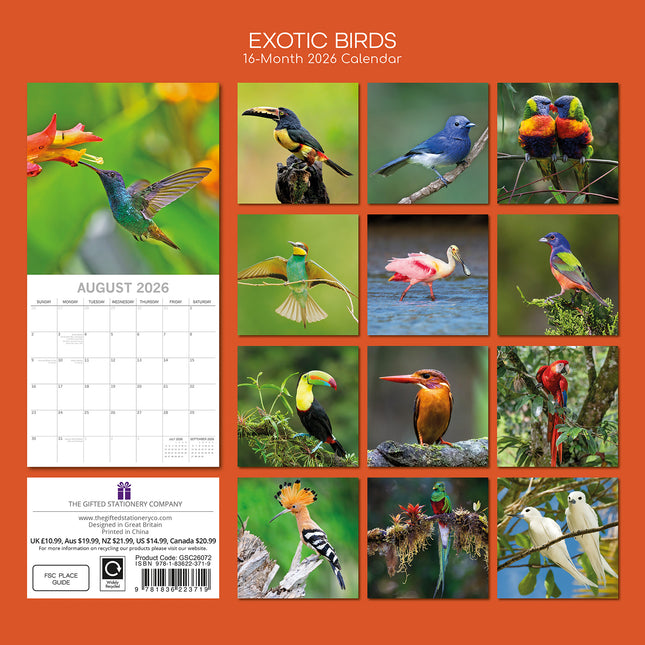 Exotic Birds - 2026 Square Wall Calendar Pets Animals 16 Months Premium Planner