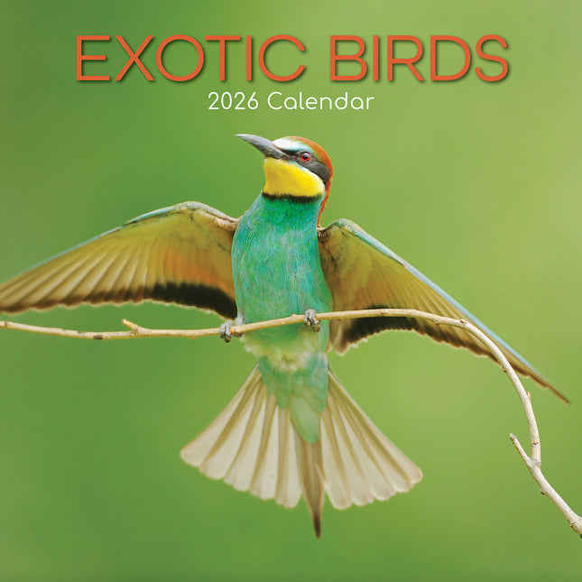 Exotic Birds - 2026 Square Wall Calendar Pets Animals 16 Months Premium Planner