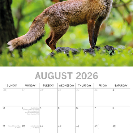 Foxes - 2026 Square Wall Calendar Pets Animals 16 Months Premium Planner Gift