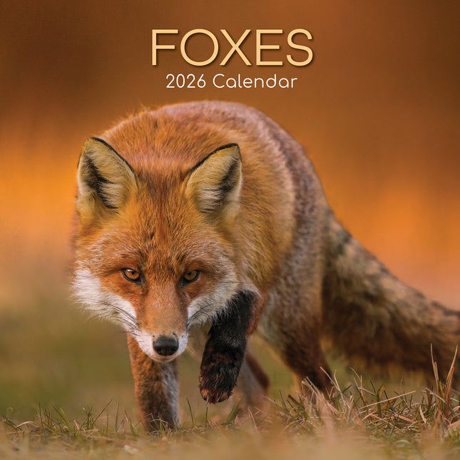 Foxes - 2026 Square Wall Calendar Pets Animals 16 Months Premium Planner Gift