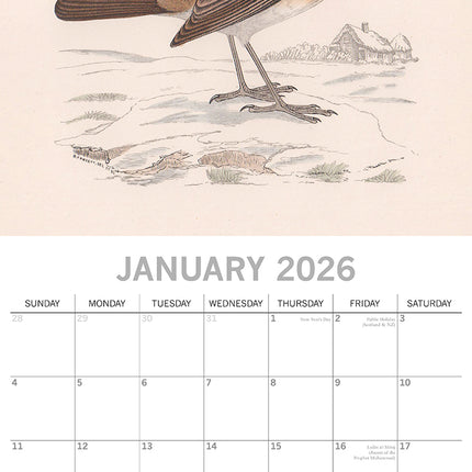 Garden Birds - 2026 Square Wall Calendar Pets Animals 16 Months Premium Planner