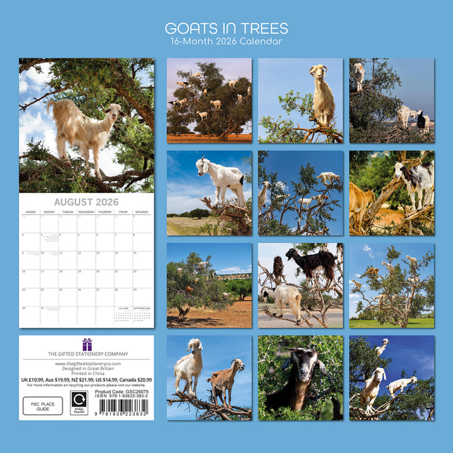 Goats in Trees 2026 Square Wall Calendar Pets Animals 16 Months Premium Planner