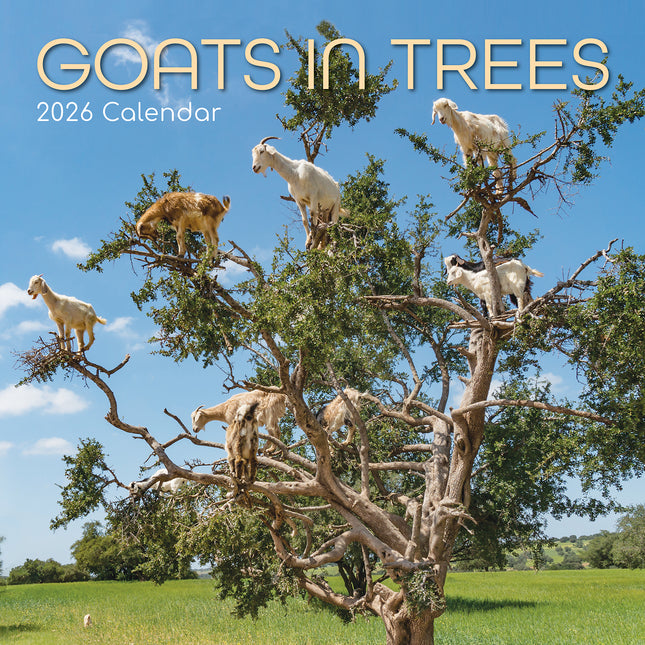 Goats in Trees 2026 Square Wall Calendar Pets Animals 16 Months Premium Planner