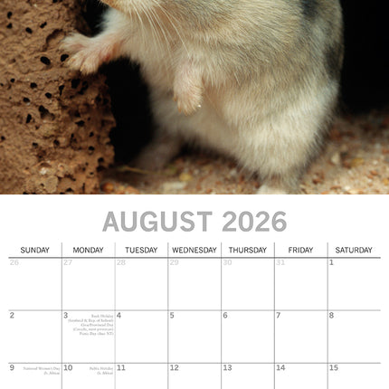 Hamsters 2026 Rectangle Wall Calendar