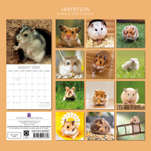 Hamsters 2026 Rectangle Wall Calendar