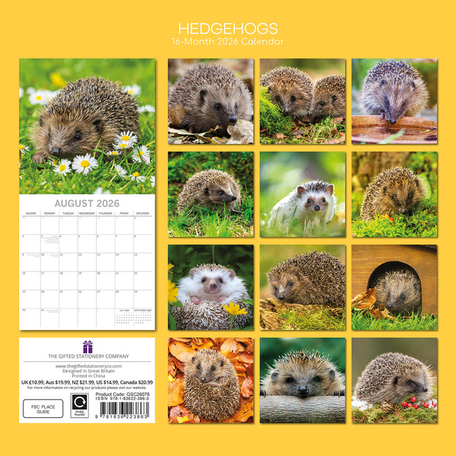 Hedgehogs - 2026 Square Wall Calendar Pets Animals 16 Month Premium Planner Gift