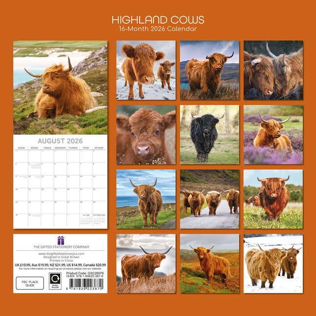 Highland Cows - 2026 Square Wall Calendar Pets Animals 16 Months Premium Planner
