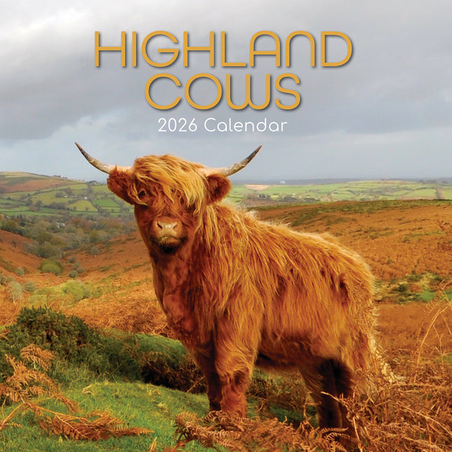 Highland Cows - 2026 Square Wall Calendar Pets Animals 16 Months Premium Planner