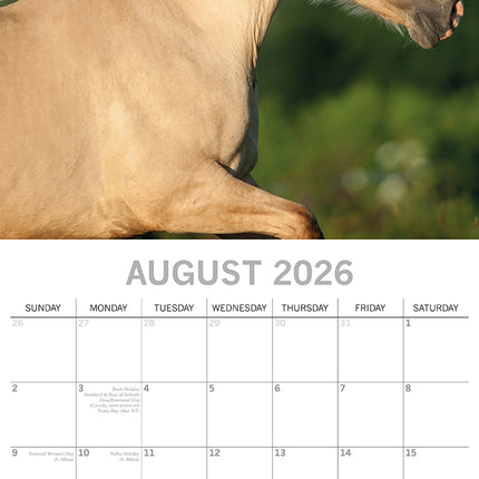 Horses - 2026 Square Wall Calendar Pets Animals 16 Months Premium Planner Gift