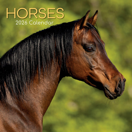 Horses - 2026 Square Wall Calendar Pets Animals 16 Months Premium Planner Gift