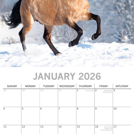 Horses - 2026 Square Wall Calendar Pets Animals 16 Months Premium Planner Gift