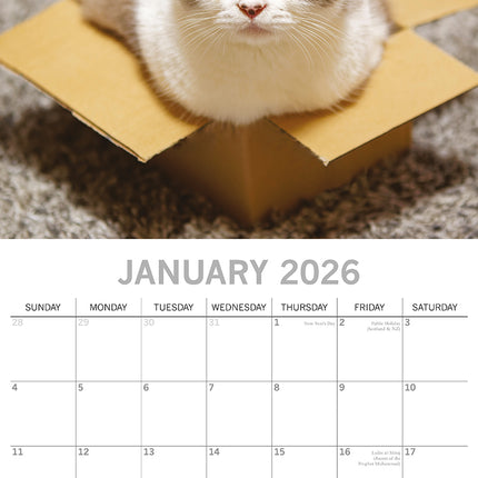 Cat Shaming - 2026 Square Wall Calendar Pets Animals 16 Months Premium Planner