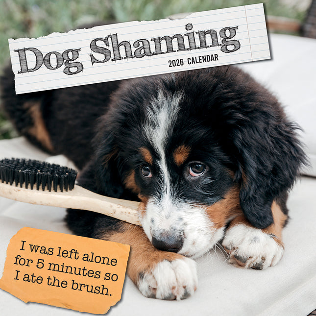 Dog Shaming - 2026 Square Wall Calendar Pets Animals 16 Months Premium Planner