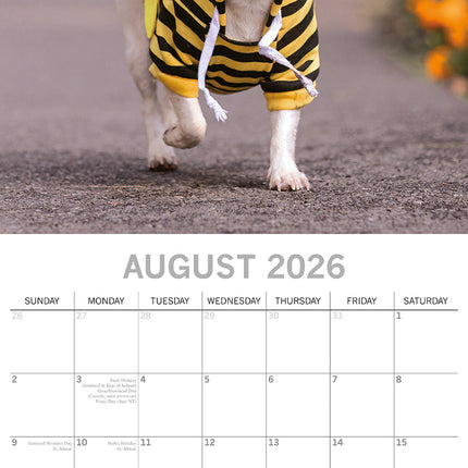 Dogs as Animals 2026 Square Wall Calendar Pets Animals 16 Months Premium Planner