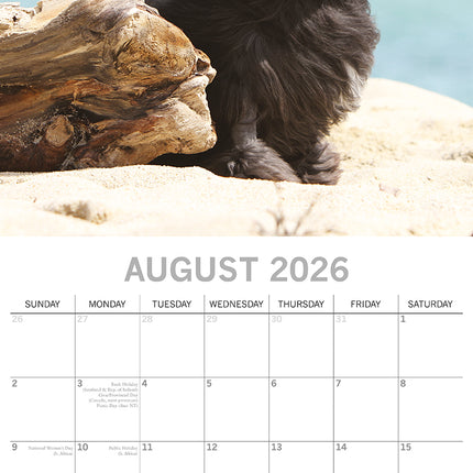 Dogs in the Wind 2026 Square Wall Calendar Pets Animals 16 Month Premium Planner