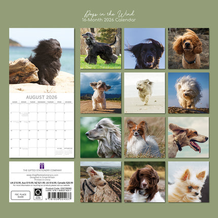 Dogs in the Wind 2026 Square Wall Calendar Pets Animals 16 Month Premium Planner