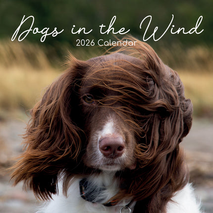 Dogs in the Wind 2026 Square Wall Calendar Pets Animals 16 Month Premium Planner