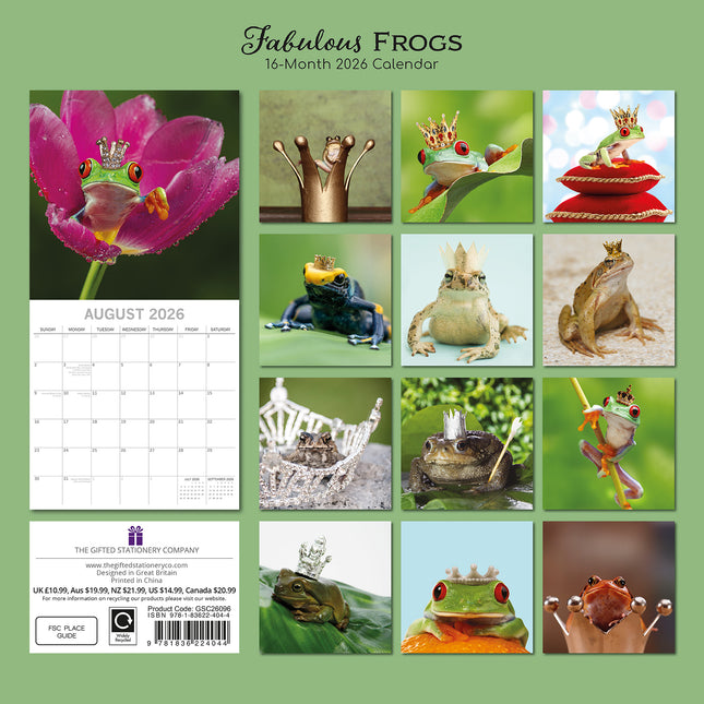 Fabulous Frogs - 2026 Square Wall Calendar Pets Animals 16 Month Premium Planner
