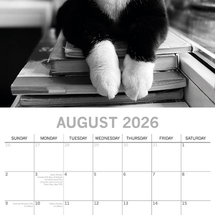 Moggies - 2026 Square Wall Calendar Cute Pets Animals 16 Months Premium Planner