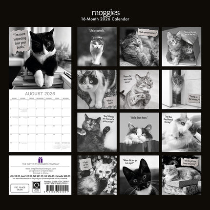 Moggies - 2026 Square Wall Calendar Cute Pets Animals 16 Months Premium Planner