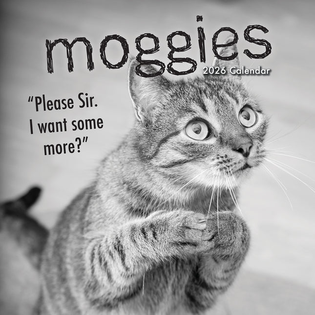 Moggies - 2026 Square Wall Calendar Cute Pets Animals 16 Months Premium Planner