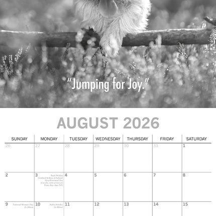 Mutts - 2026 Square Wall Calendar Pets Animals 16 Months New Year Home Planner