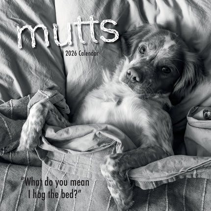 Mutts - 2026 Square Wall Calendar Pets Animals 16 Months New Year Home Planner