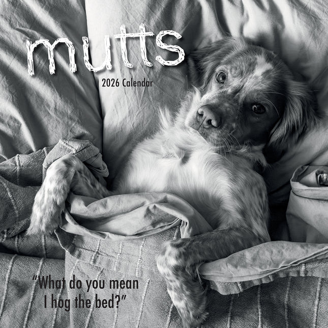 Mutts - 2026 Square Wall Calendar Pets Animals 16 Months New Year Home Planner
