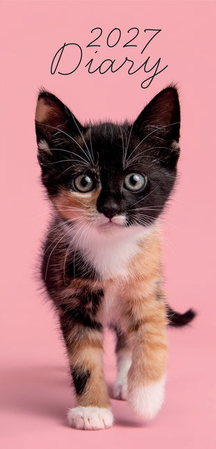 Kitten Love 2027 Pocket Diary cover
